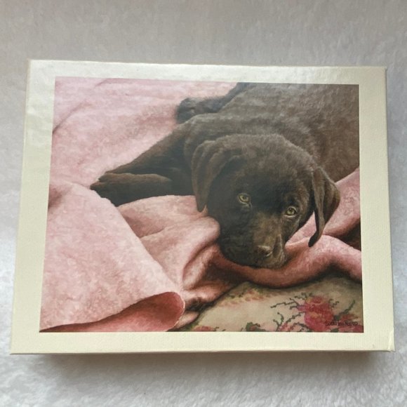 Vintage Chocolate Labrador Dog Puppy Lang Box of Note Cards - Picture 4 of 7